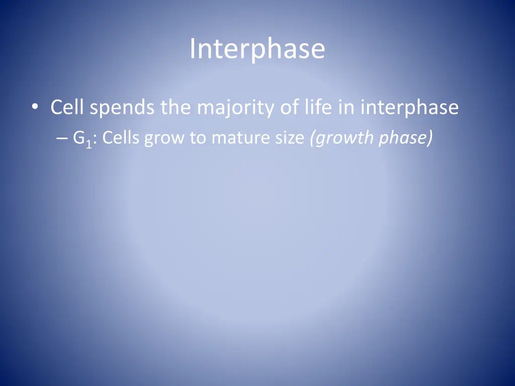 interphase 1