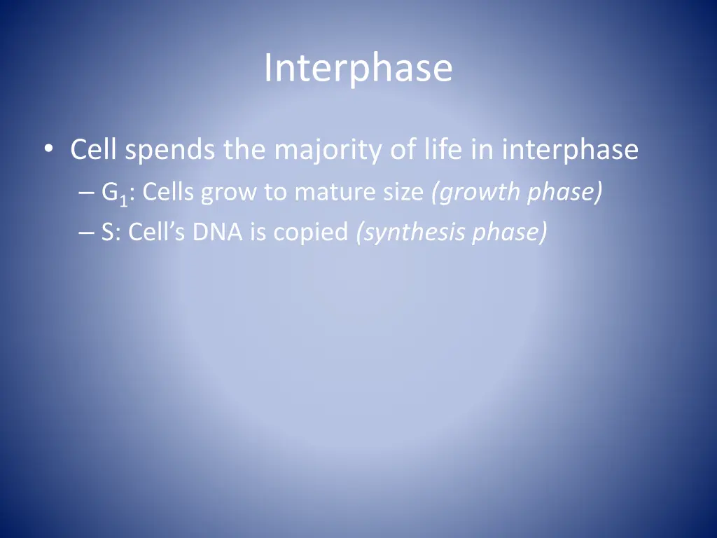 interphase 2