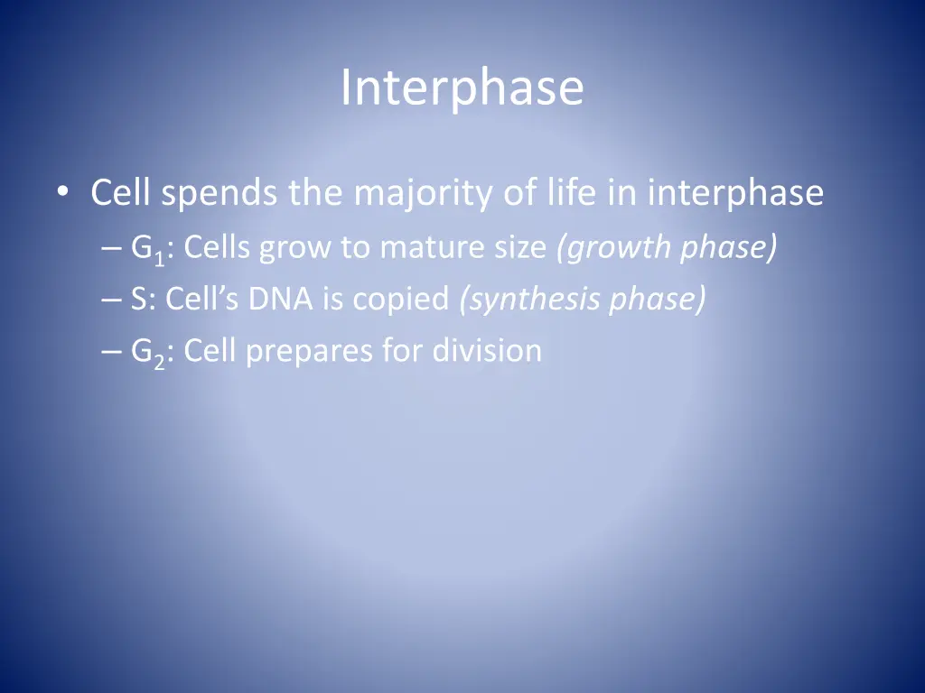 interphase 3