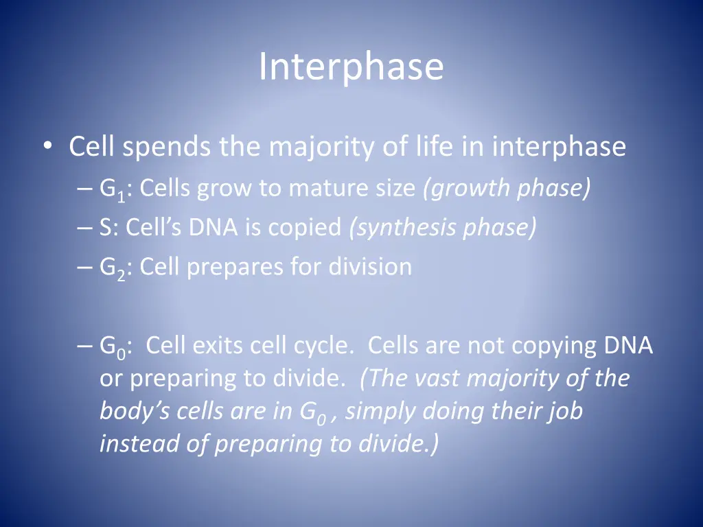 interphase 5