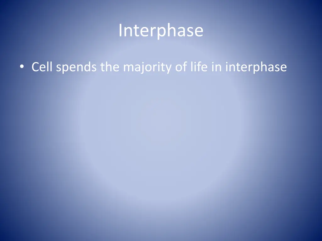 interphase