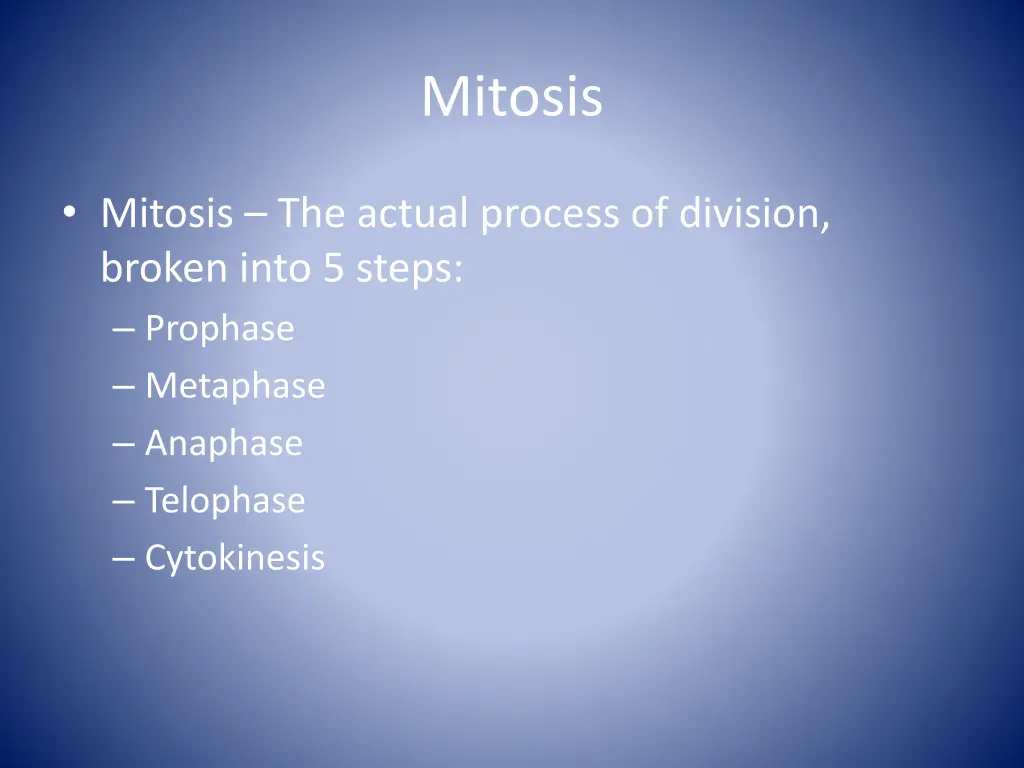 mitosis 1