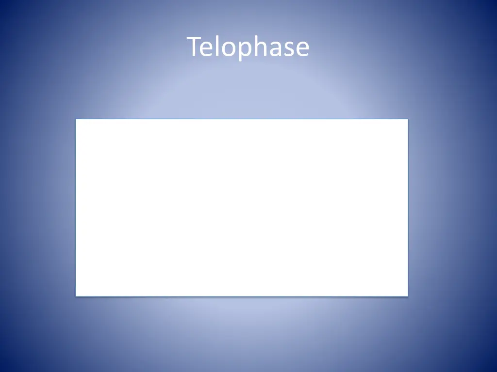 telophase