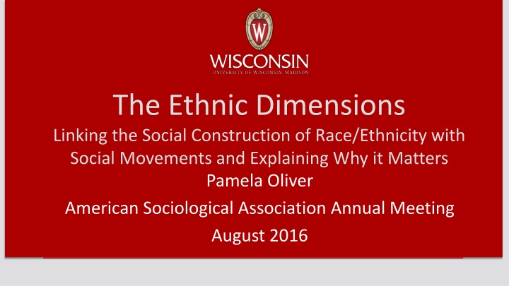 the ethnic dimensions linking the social