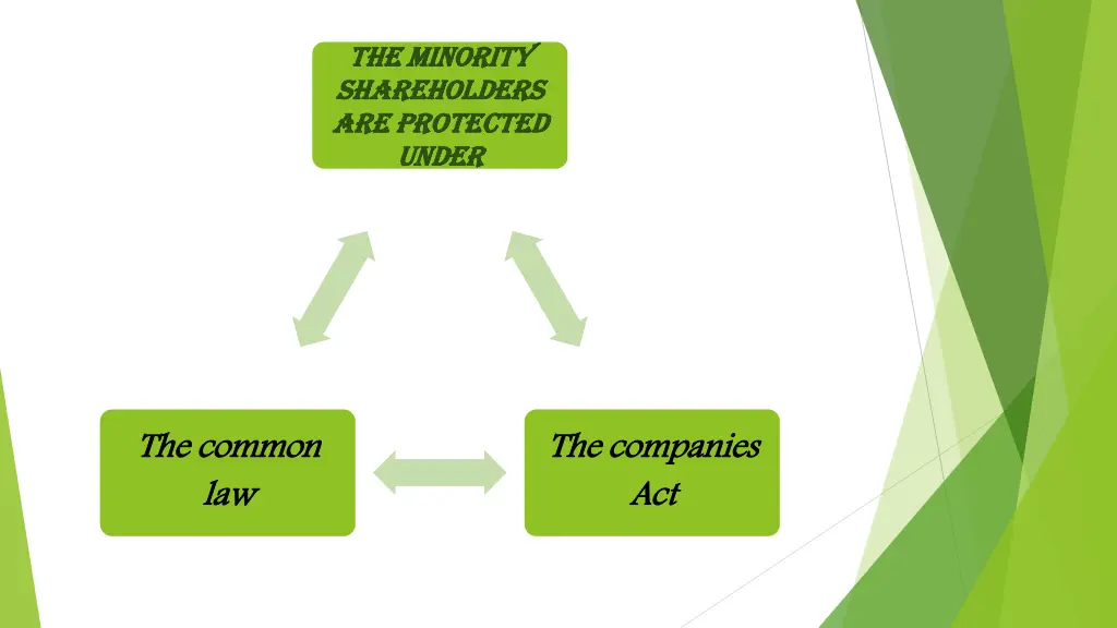 the minority the minority shareholders