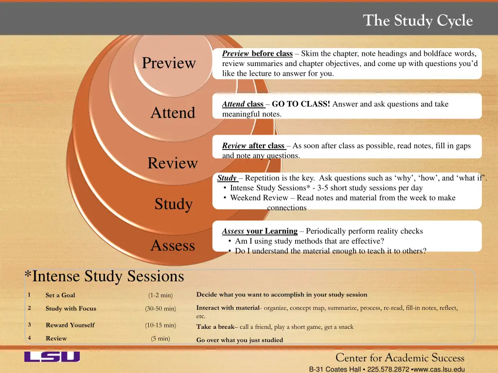 the study cycle