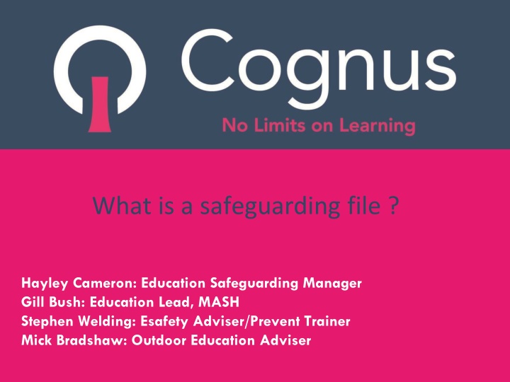 what is a safeguarding file