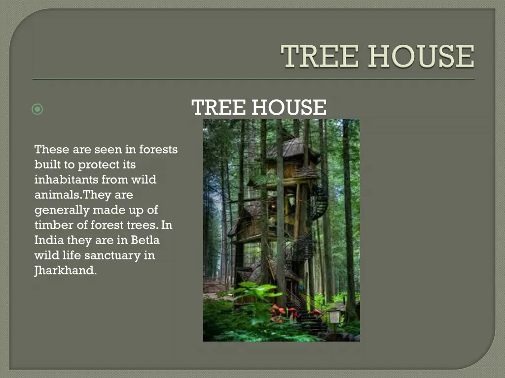 tree house