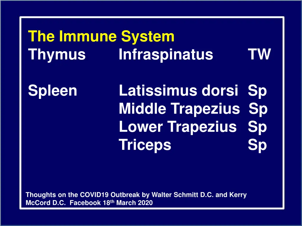 the immune system thymus