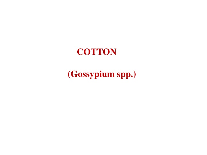 cotton