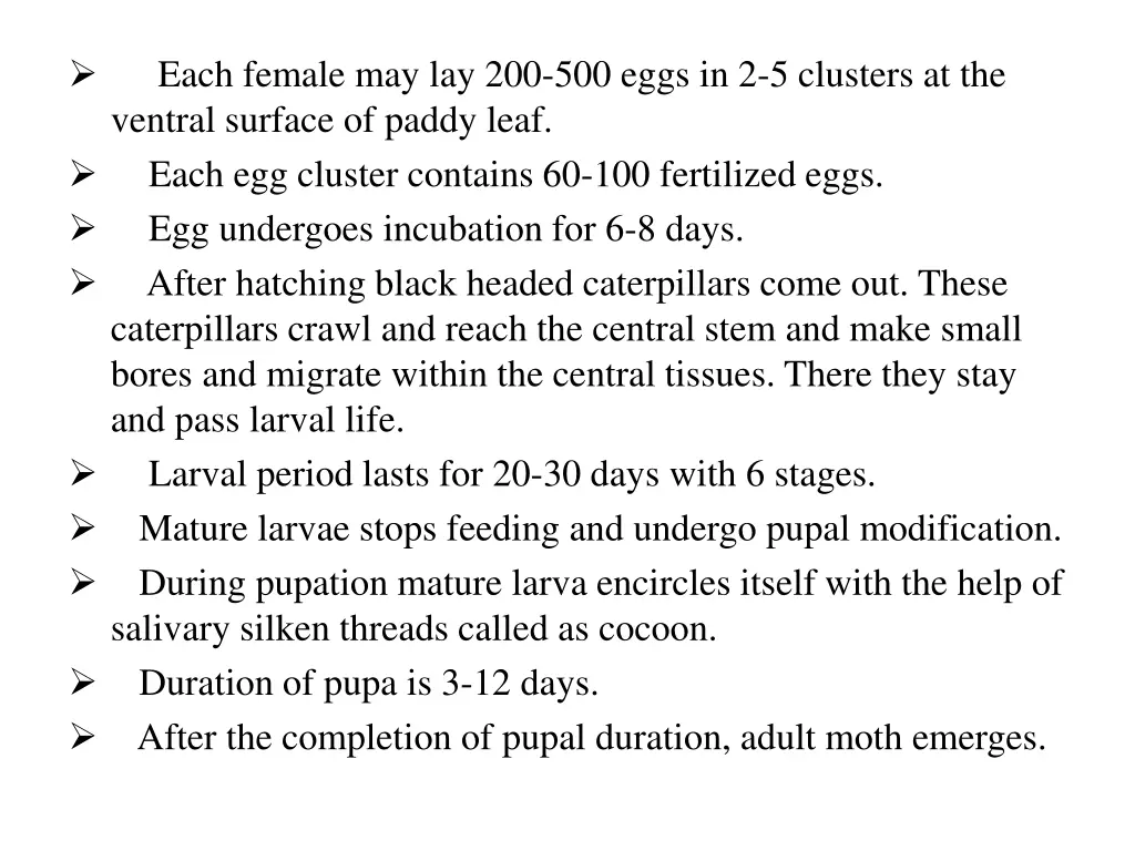 each female may lay 200 500 eggs in 2 5 clusters