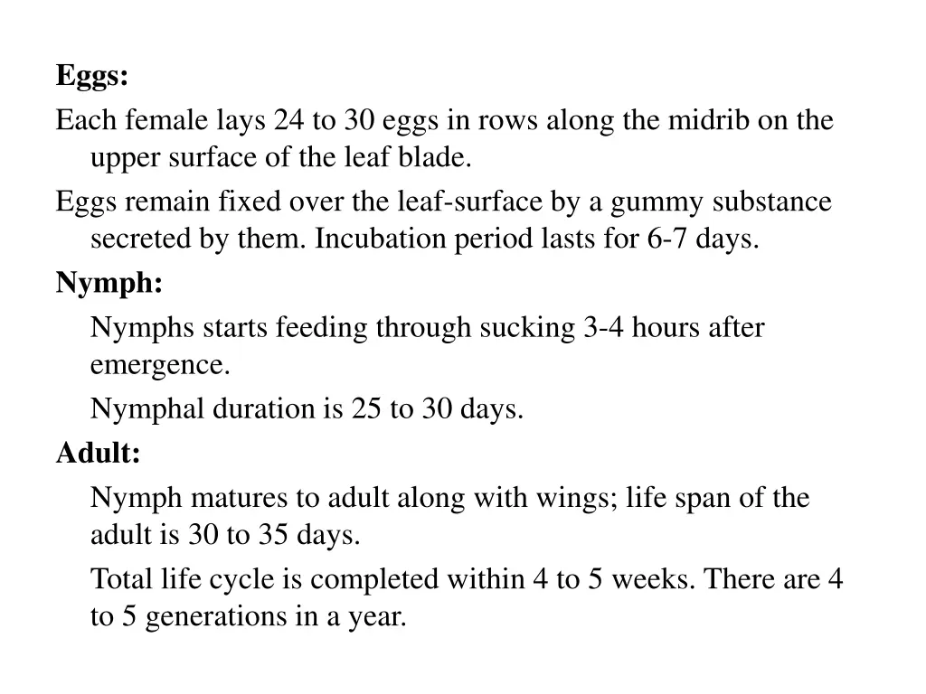 eggs each female lays 24 to 30 eggs in rows along