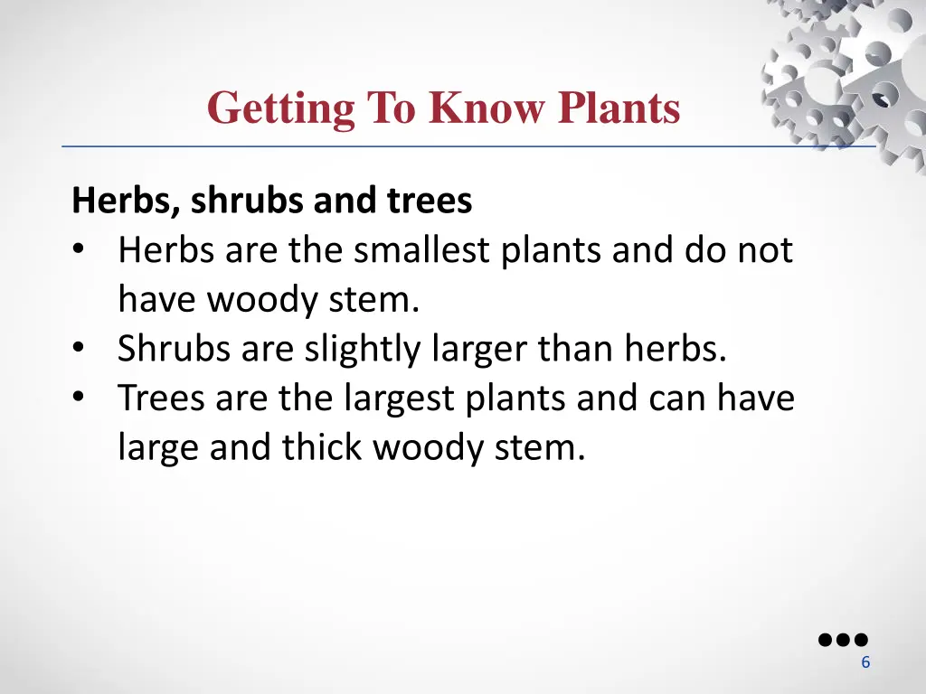 getting to know plants 1