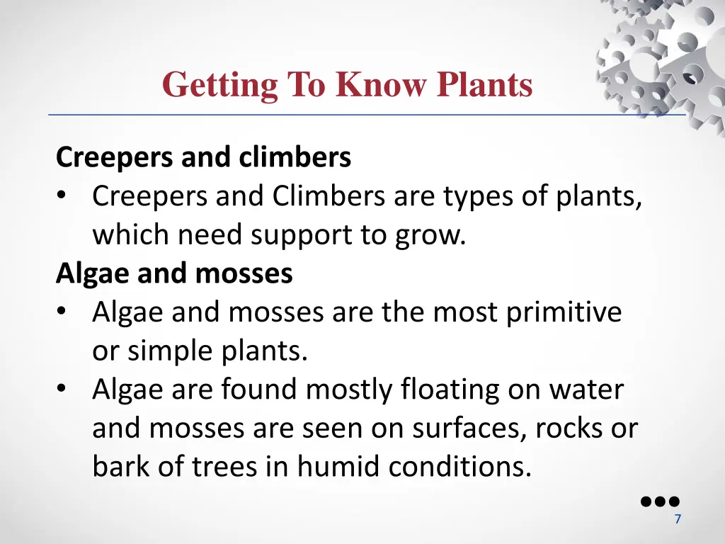 getting to know plants 2