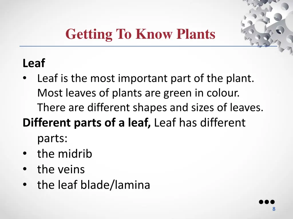 getting to know plants 3