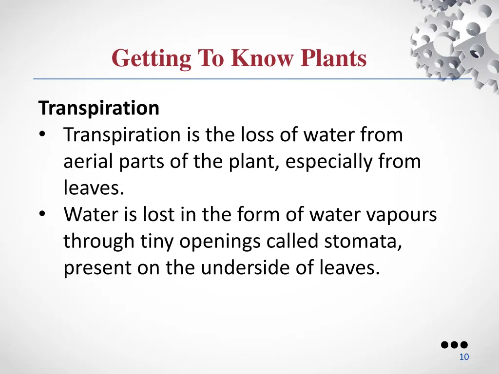 getting to know plants 4