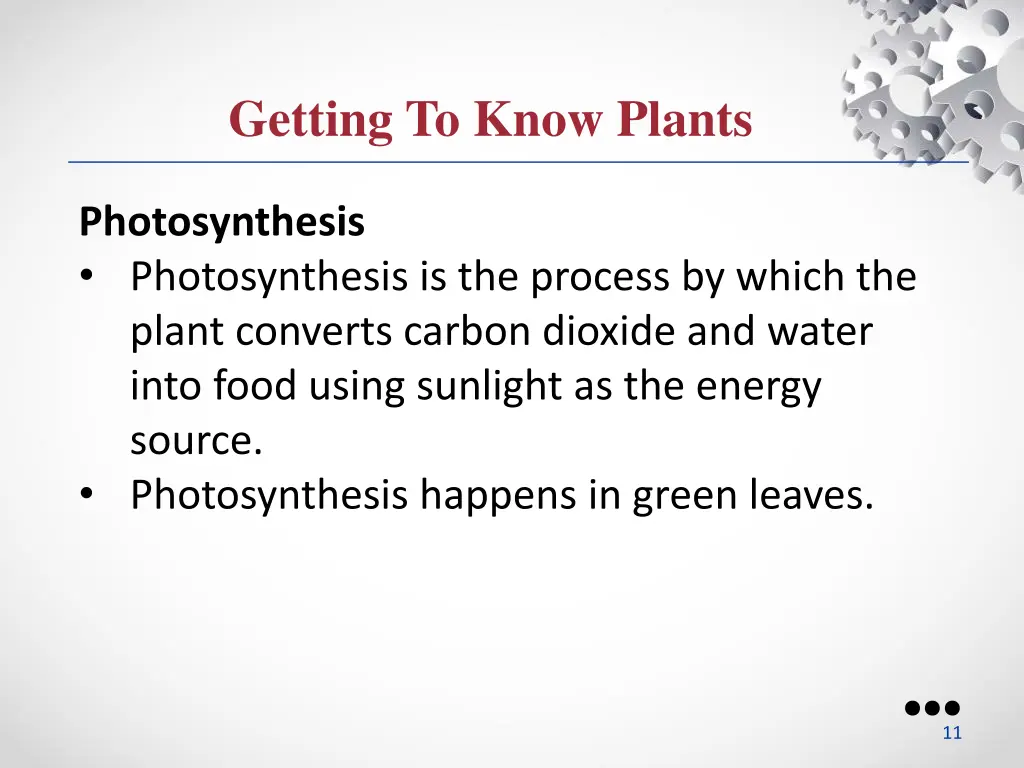 getting to know plants 5