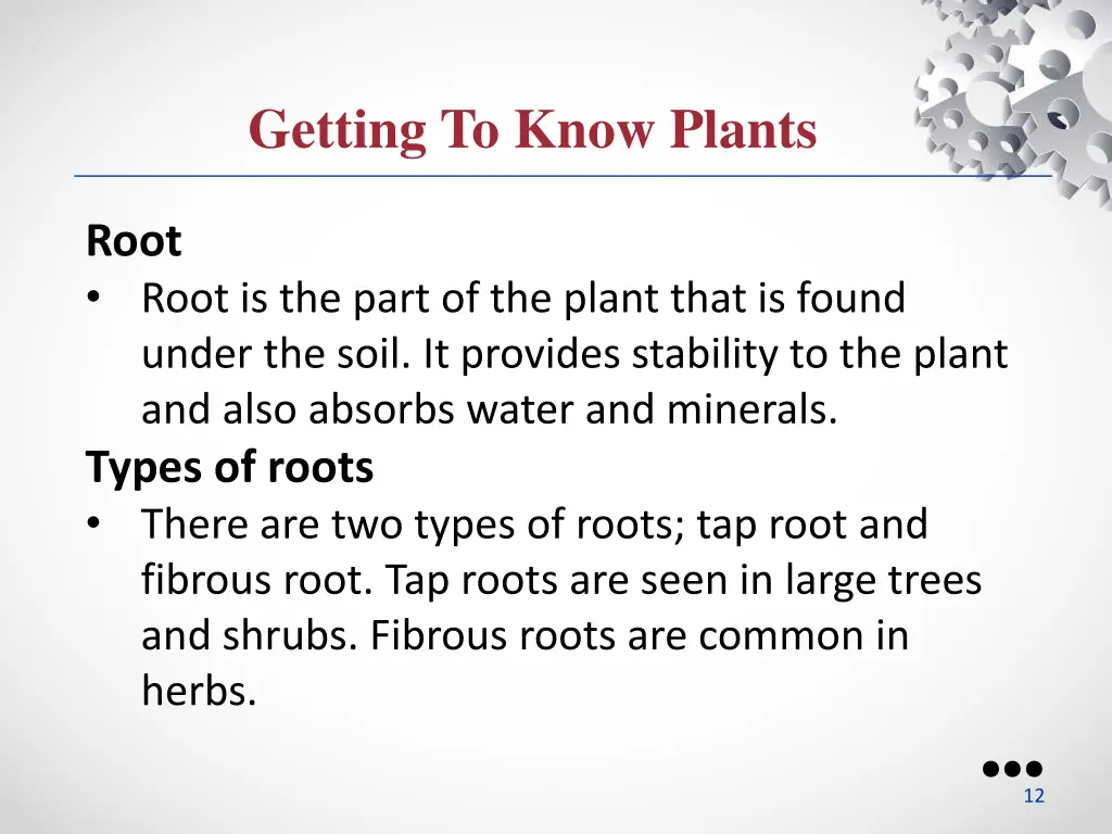 getting to know plants 6