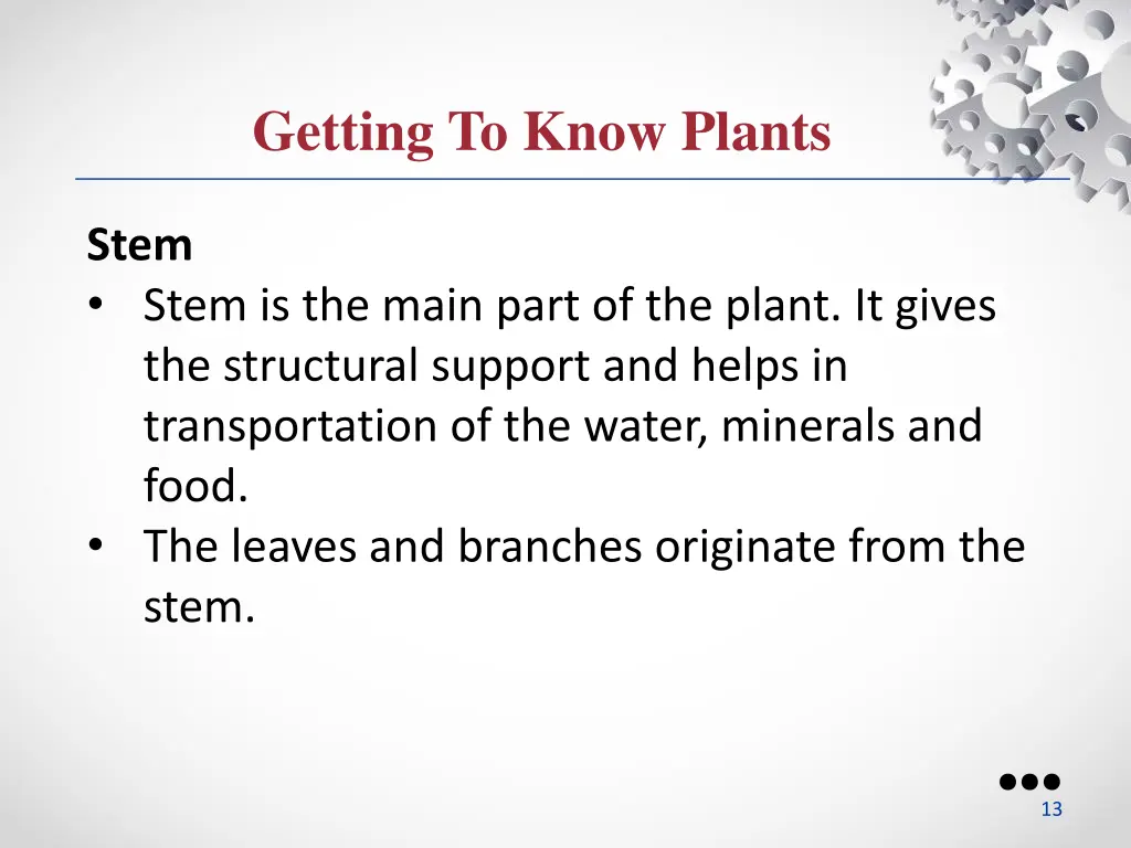 getting to know plants 7