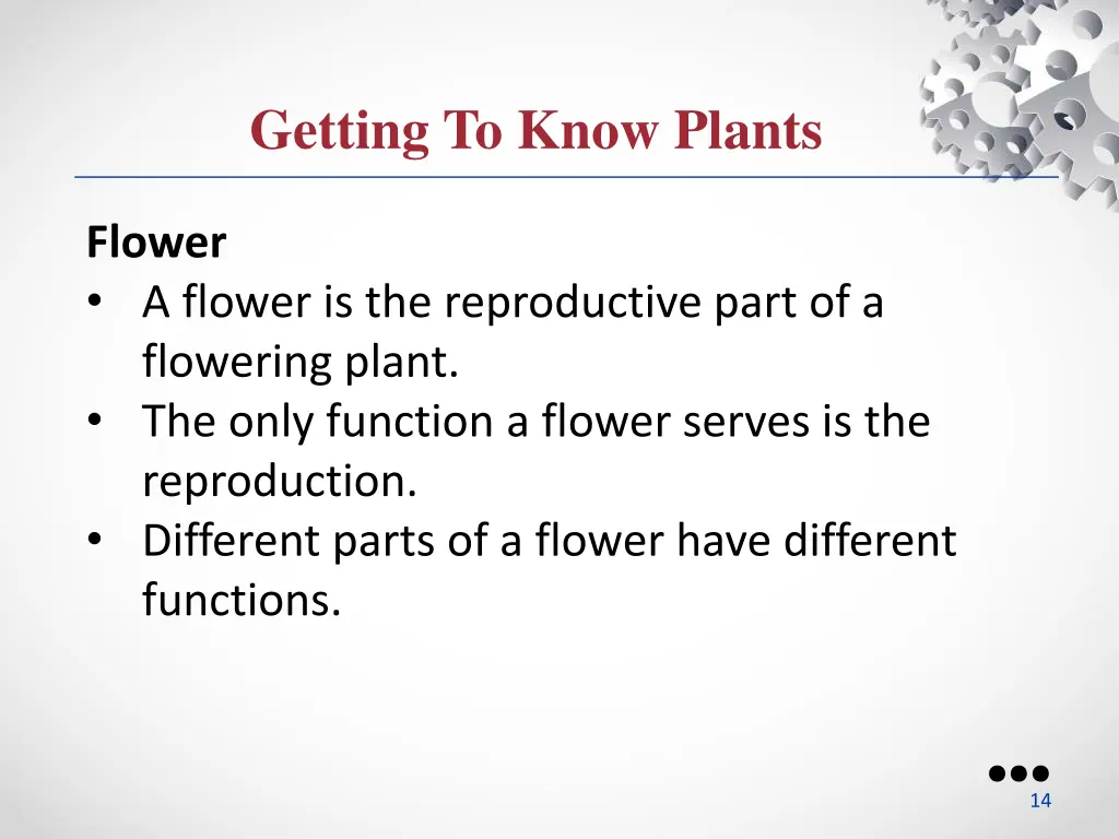 getting to know plants 8