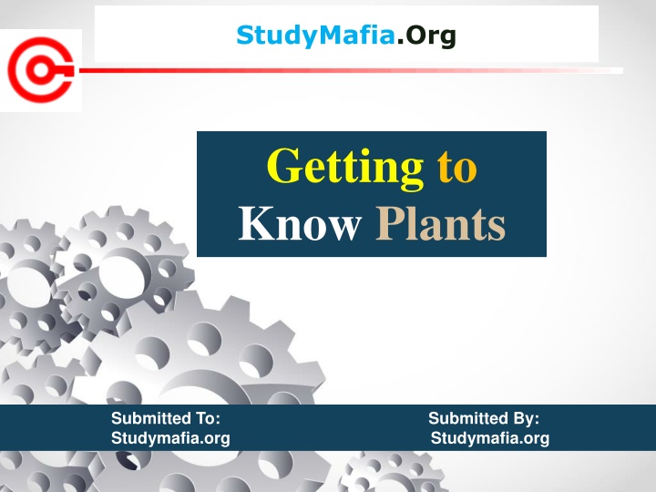 studymafia org