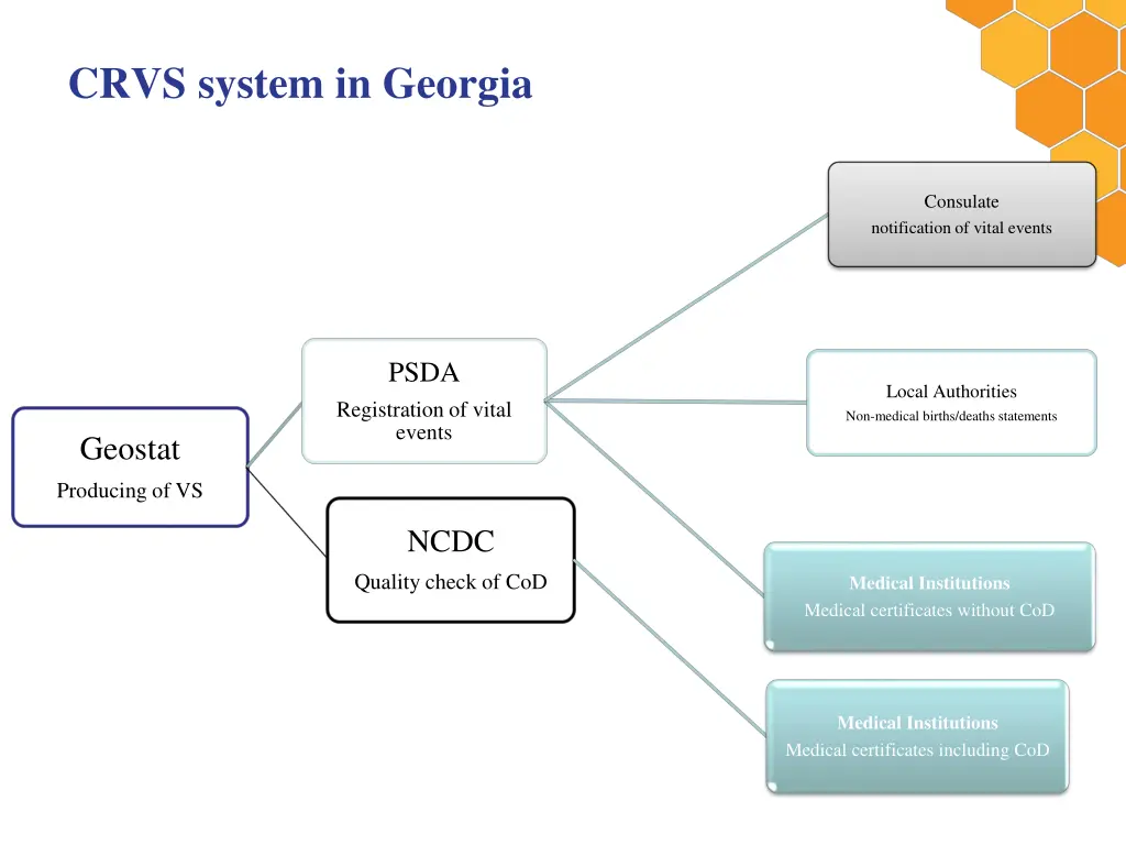 crvs system in georgia