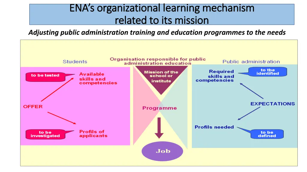 ena s organizational learning