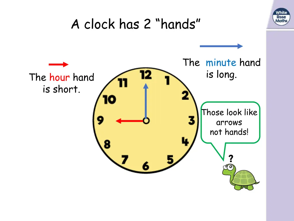 a clock has 2 hands