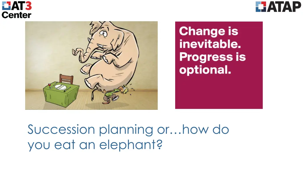 succession planning or how do you eat an elephant