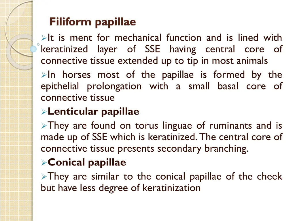 filiform papillae it is ment for mechanical