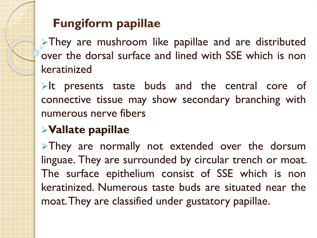 fungiform papillae