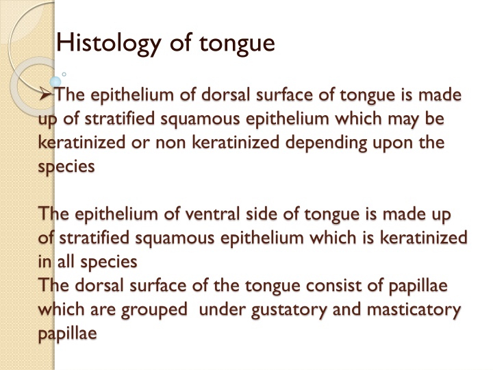 histology of tongue