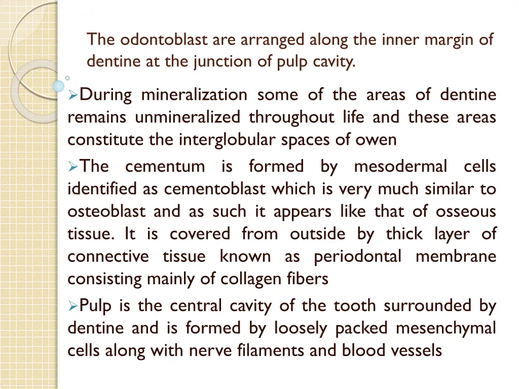 the odontoblast are arranged along the inner