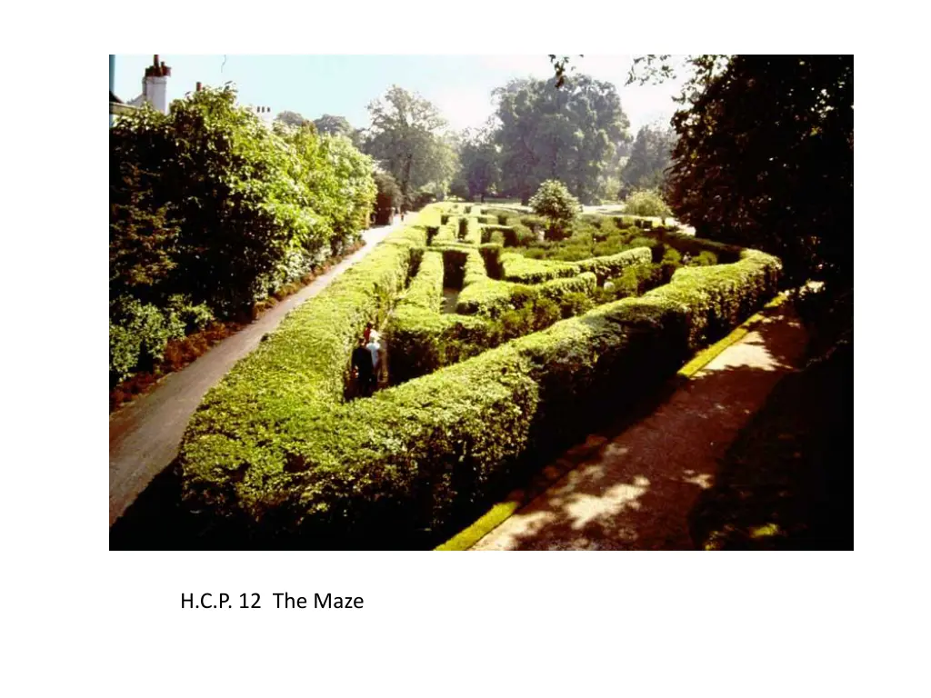 h c p 12 the maze