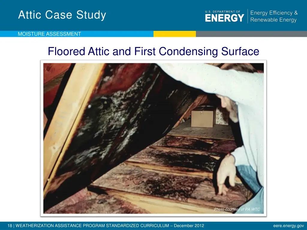 attic case study