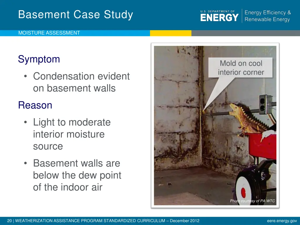 basement case study