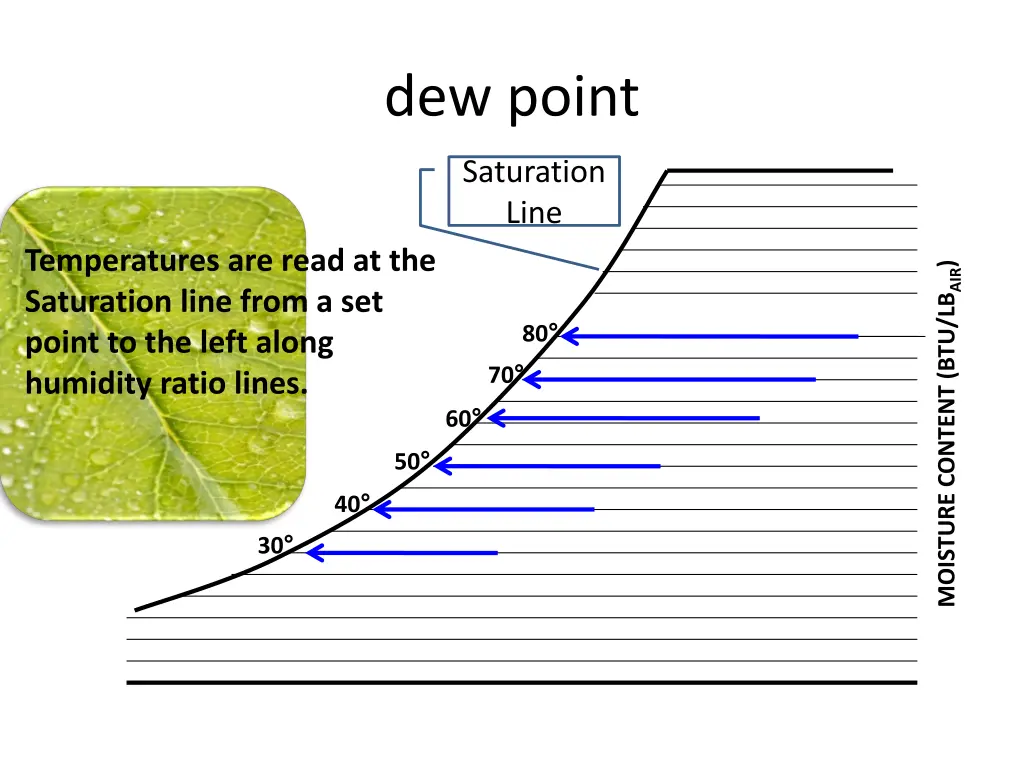 dew point 1