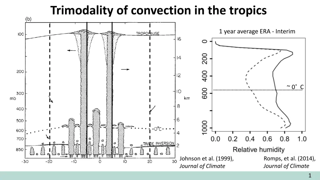 trimodality of convection in the tropics