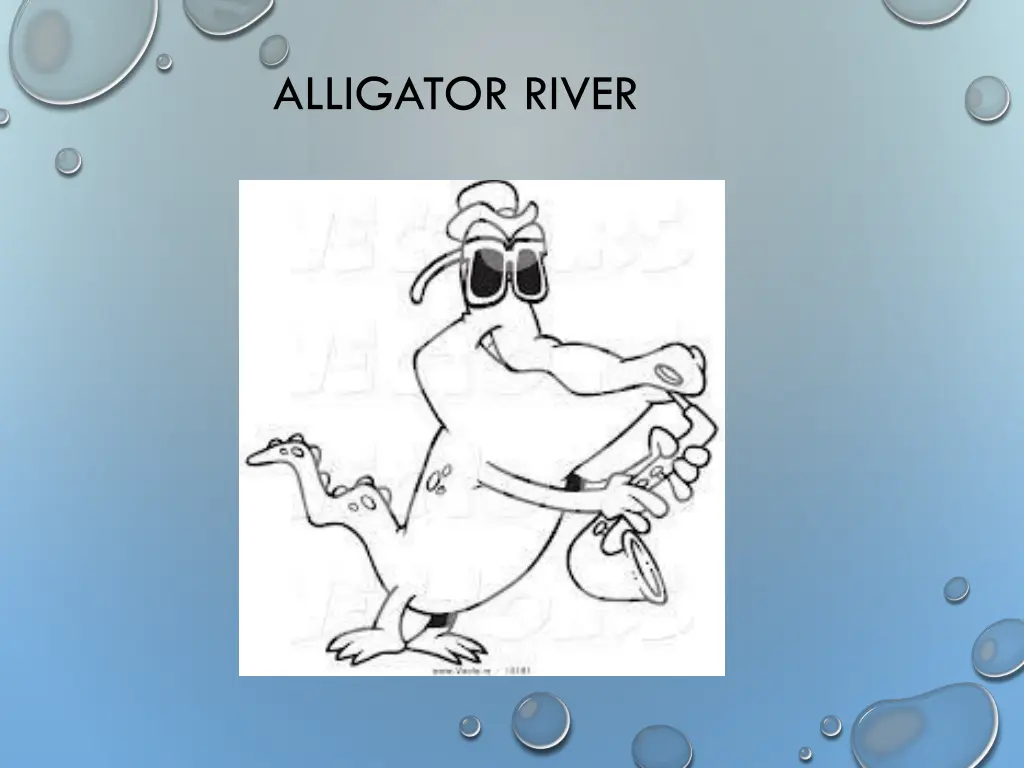 alligator river