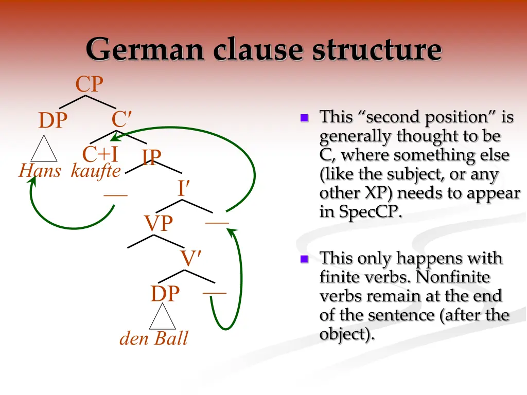 german clause structure cp