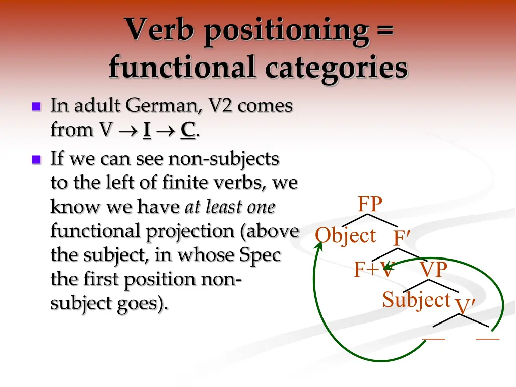 verb positioning functional categories