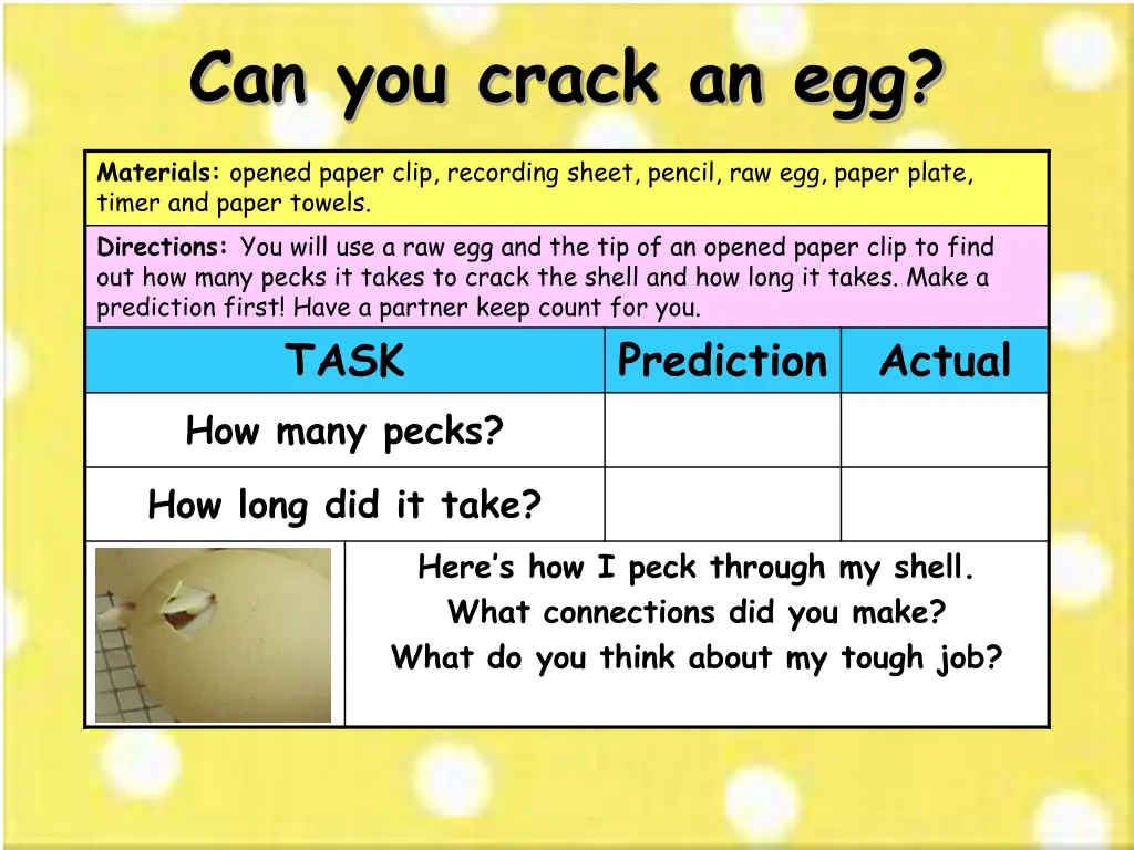 can you crack an egg