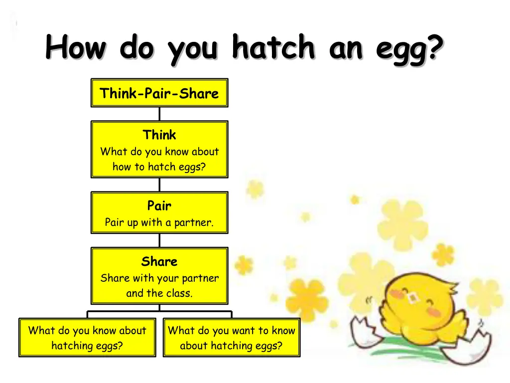 how do you hatch an egg