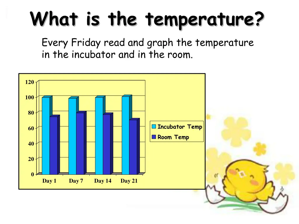 what is the temperature every friday read