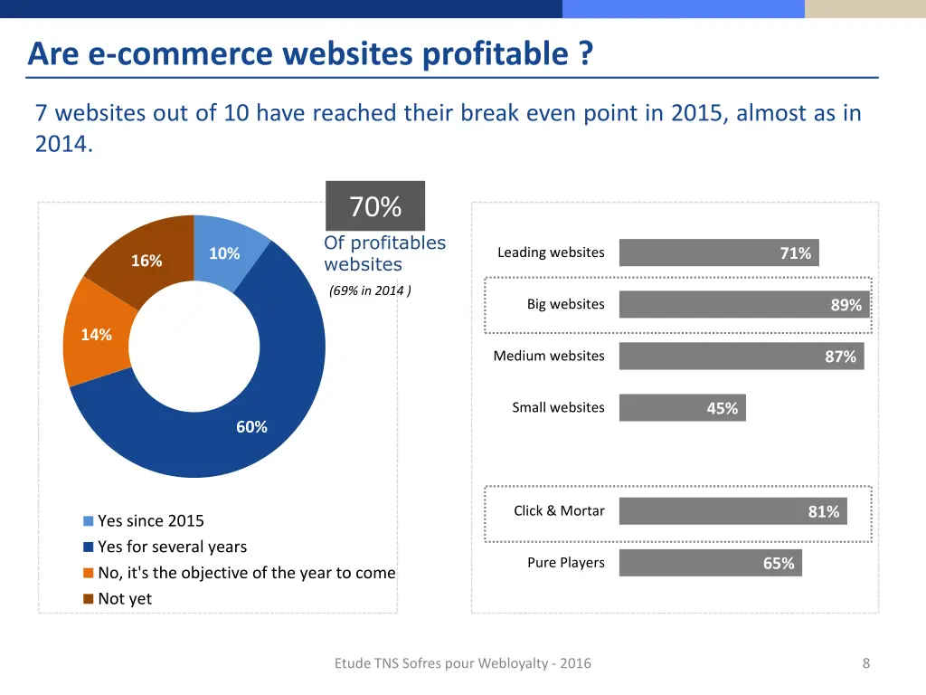 are e commerce websites profitable