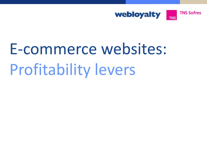 e commerce websites profitability levers