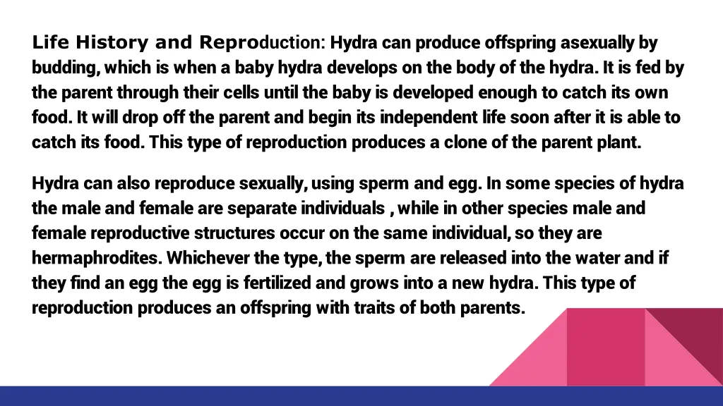 life history and repro duction hydra can produce