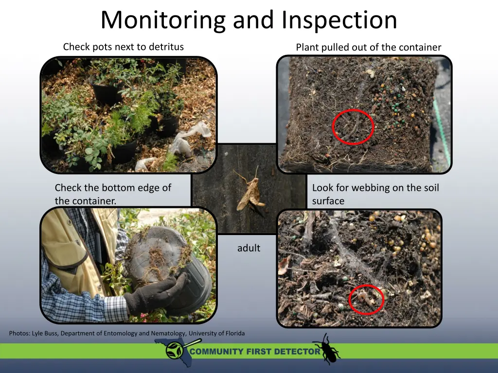 monitoring and inspection