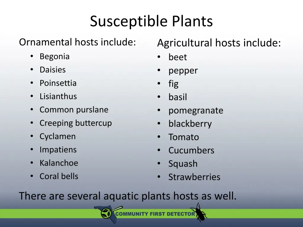 susceptible plants