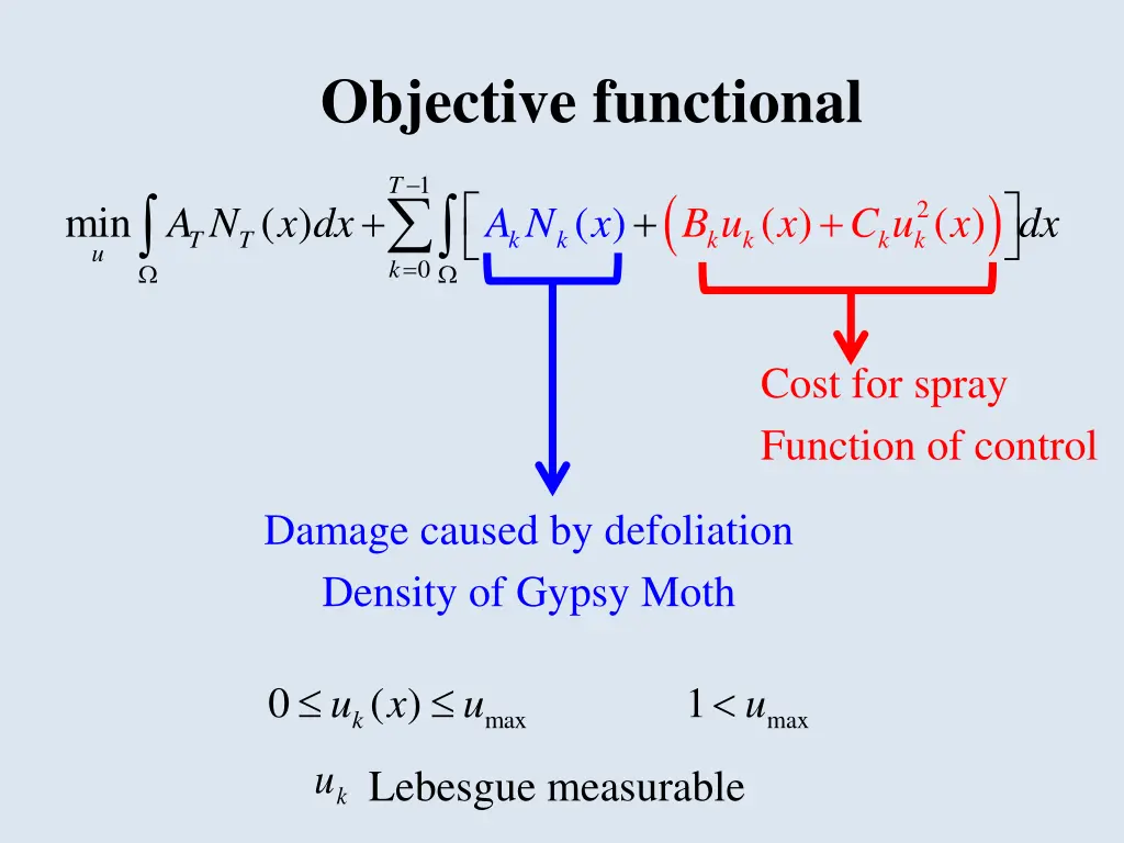 objective functional